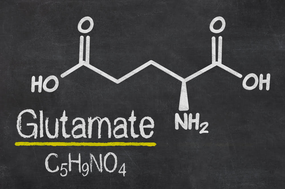 Glutamate Toxicity in Neuro Disorders by Mary Anne Matta, MS MA LAC_Meeting Point Health