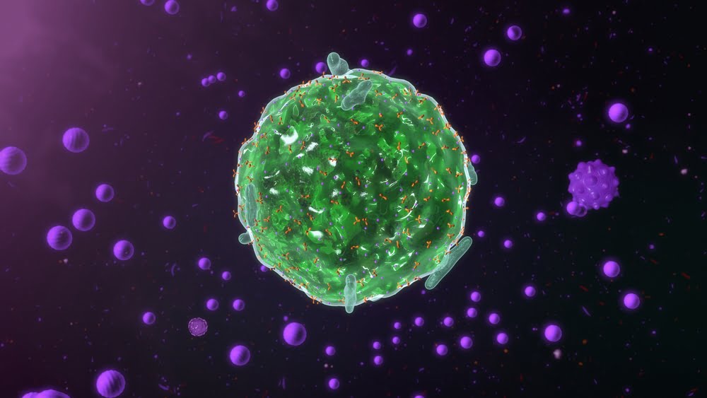 What is Mast Cell Activation Syndrome