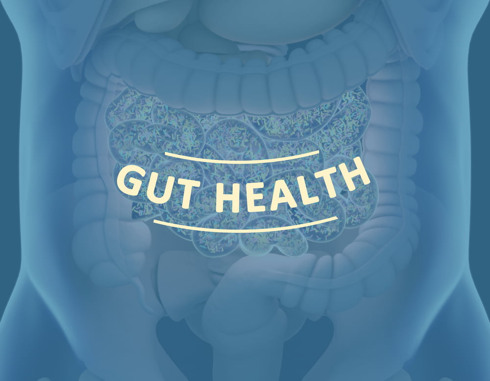 Peptides for Gut Health – Larazotide, Apigenin, BPC 157, KPV, Butyrate, L-Glutamine